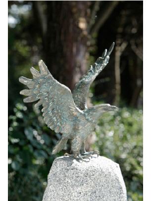 Seeadler Bronze